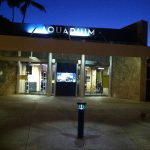 Waikiki Aquarium